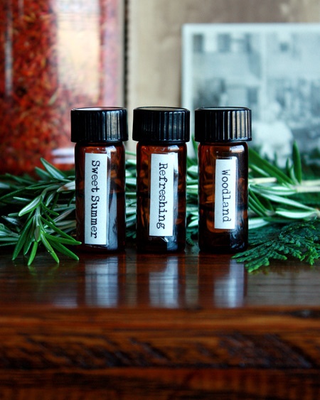 Glass bottles full of woodland perfume surrounded by pine boughs on a table Glass bottles full of woodland perfume surrounded by pine boughs on a table
