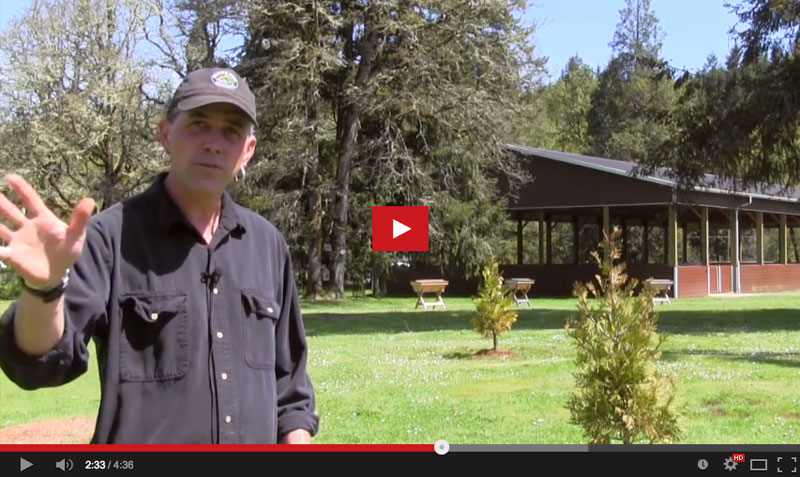 Video: Salmon Stories with Shawn Donnille of Mountain Rose Herbs