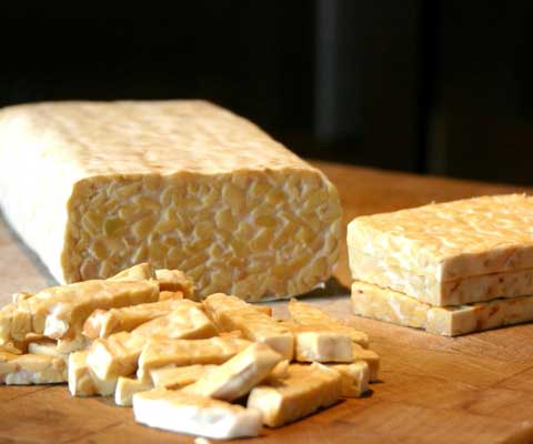tempeh