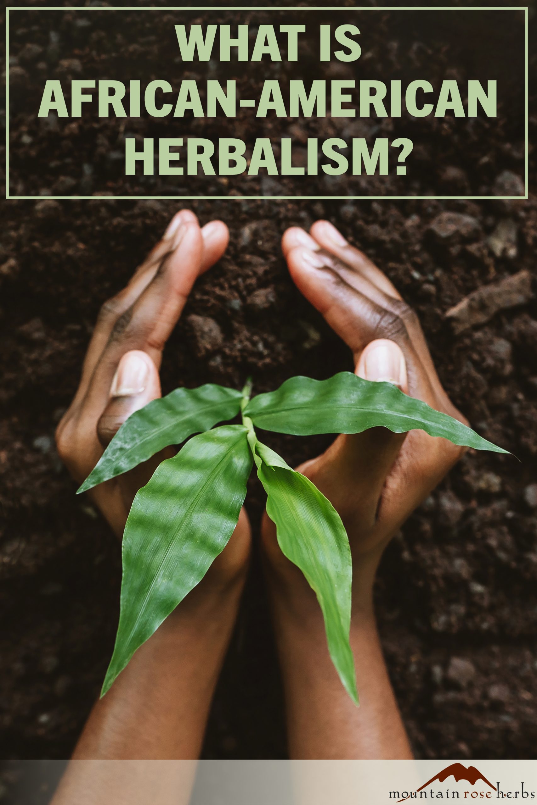 African American Herbalism PIN