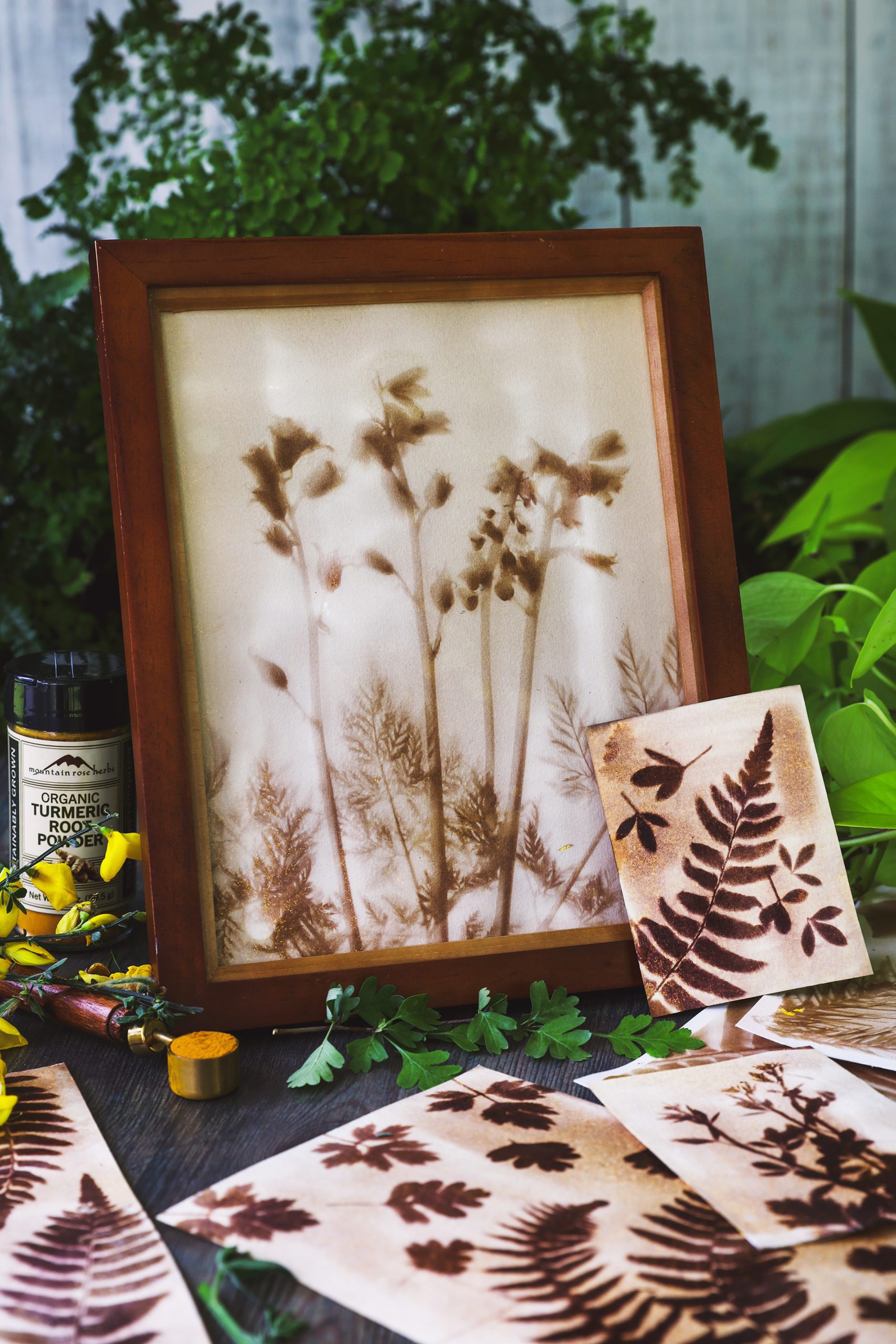 Anthotype Printing Framed