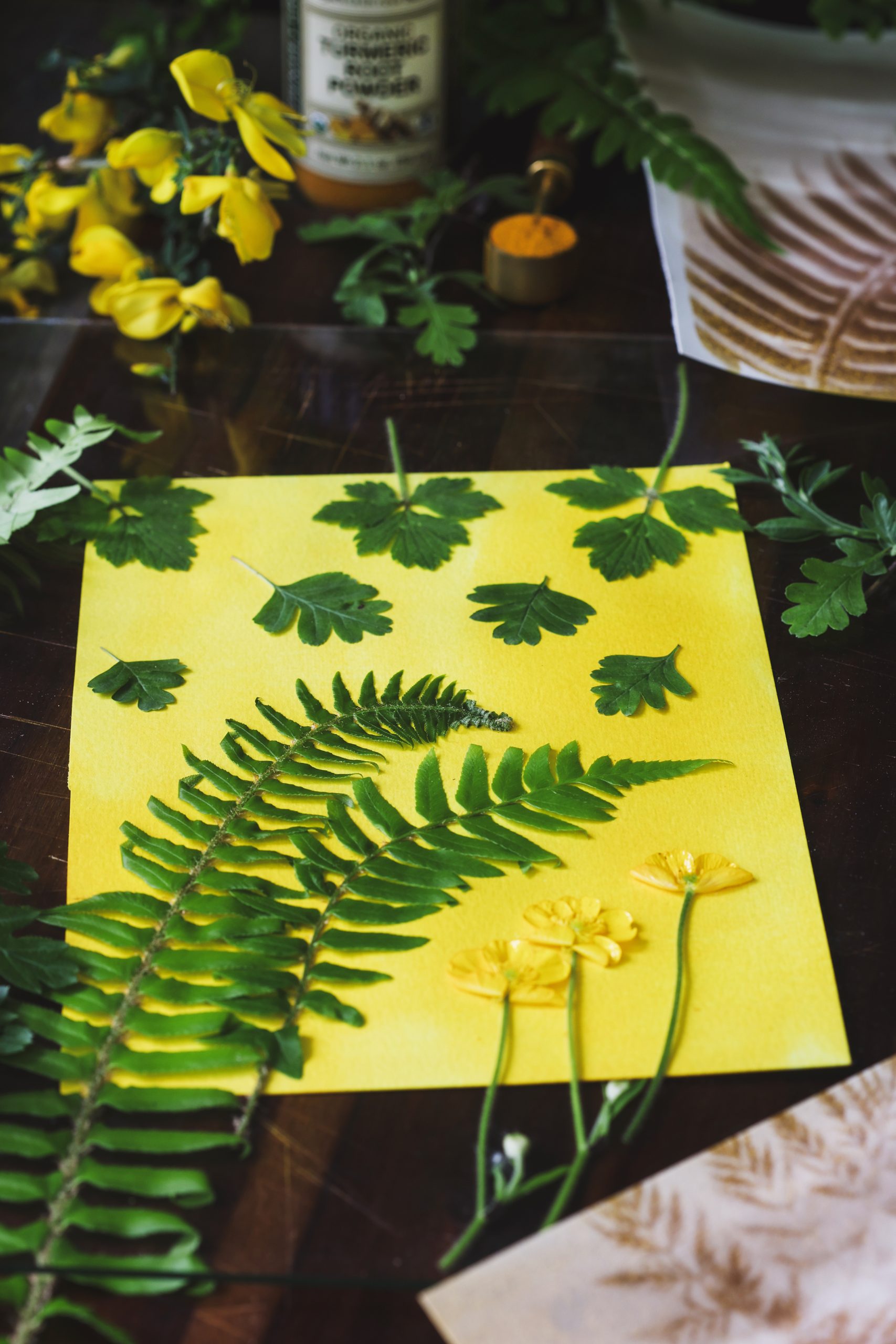 Anthotype Printing Vertical