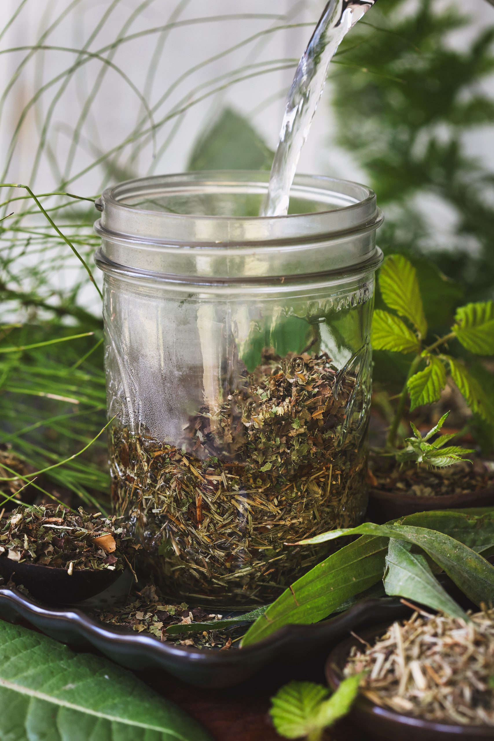 Infusion of horsetail and dandelion