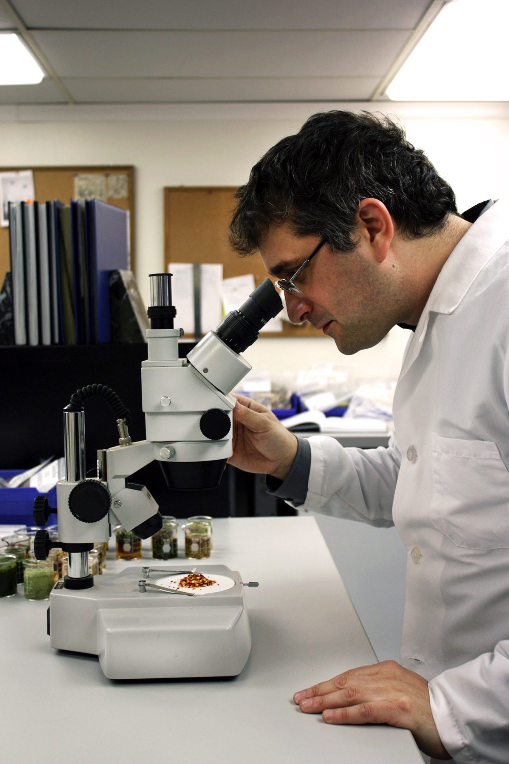 Steven Yeagar, VP of quality control examines herbs in microscope