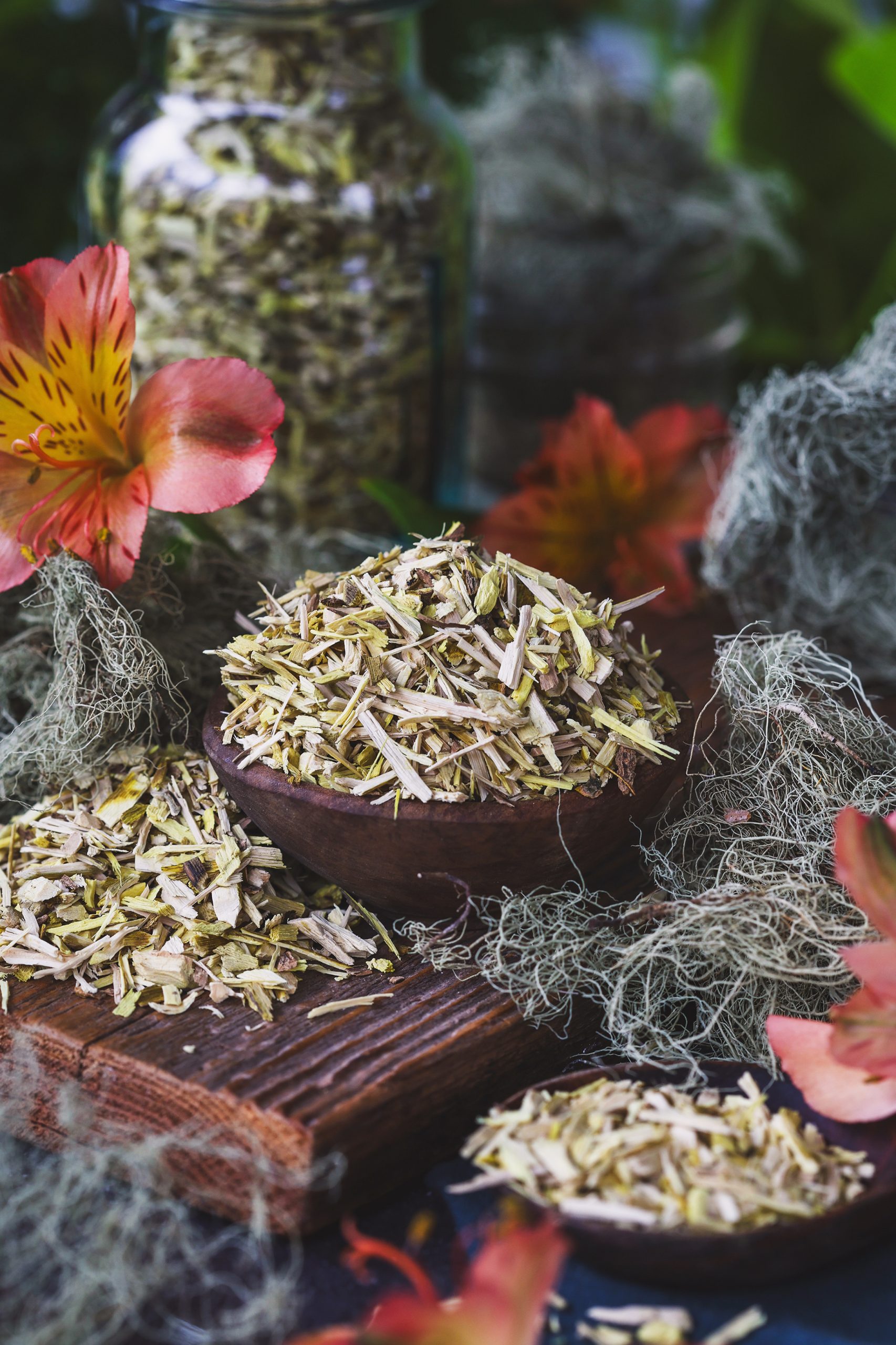 A small bowl filled with oregon grape root and usnea near it