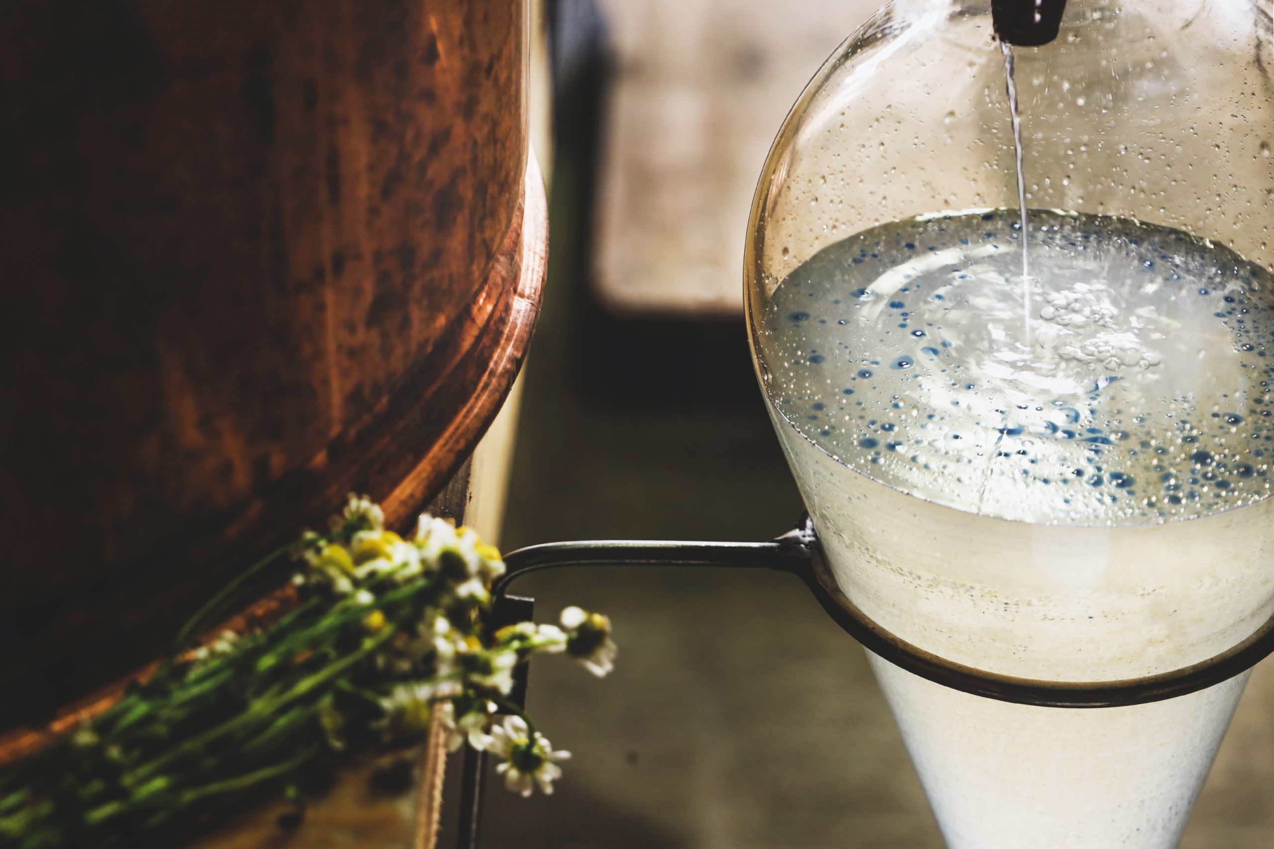 Hydrosol being distilled